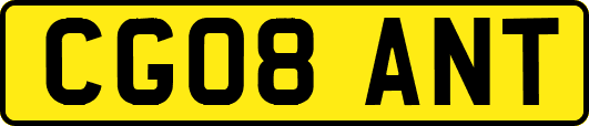 CG08ANT