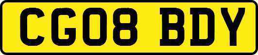 CG08BDY