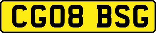 CG08BSG