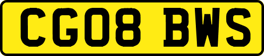 CG08BWS