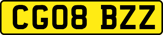 CG08BZZ