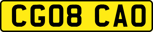 CG08CAO