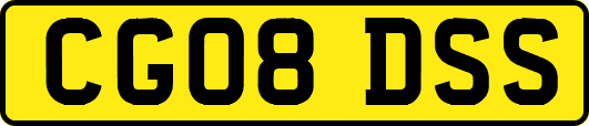 CG08DSS