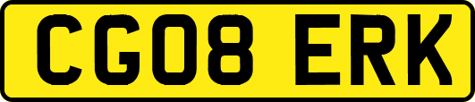 CG08ERK