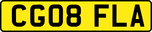 CG08FLA