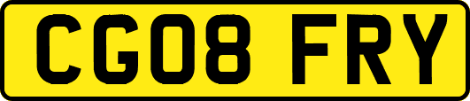 CG08FRY