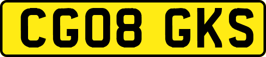 CG08GKS