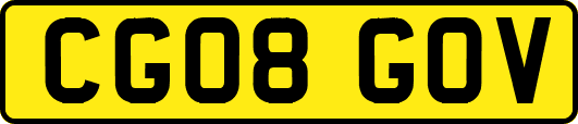 CG08GOV