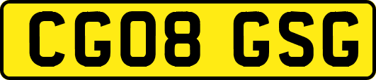 CG08GSG