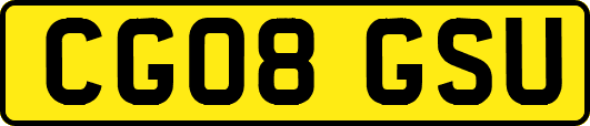 CG08GSU