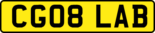 CG08LAB