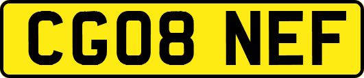 CG08NEF