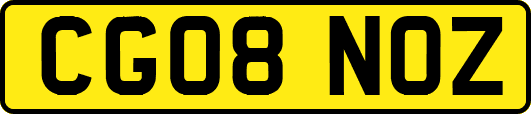 CG08NOZ
