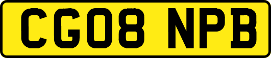 CG08NPB