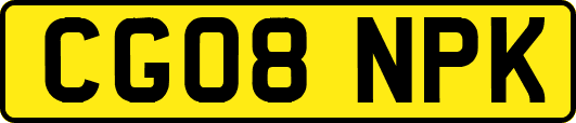 CG08NPK