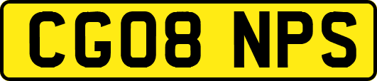 CG08NPS