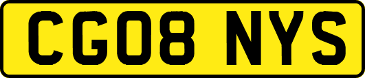 CG08NYS