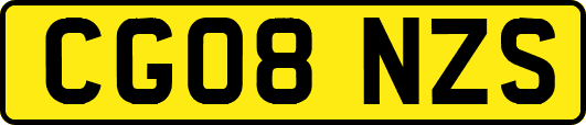 CG08NZS