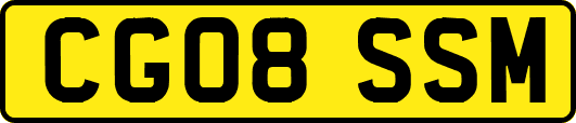 CG08SSM