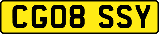 CG08SSY