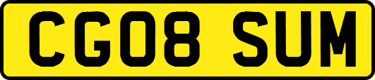 CG08SUM