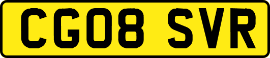 CG08SVR