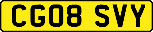 CG08SVY