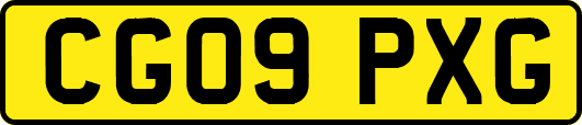 CG09PXG