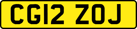 CG12ZOJ