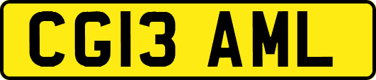 CG13AML