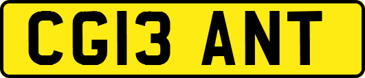 CG13ANT