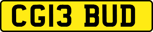 CG13BUD