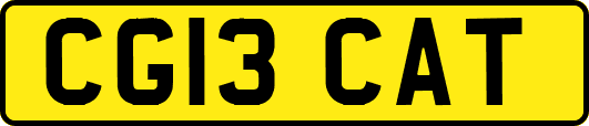 CG13CAT