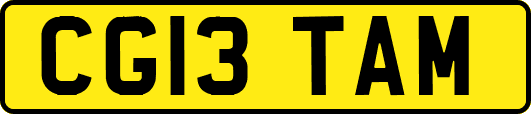 CG13TAM