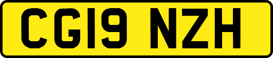 CG19NZH
