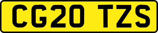 CG20TZS
