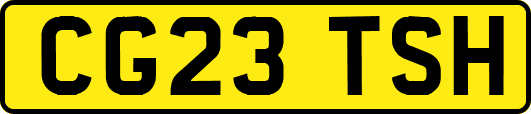 CG23TSH