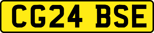 CG24BSE