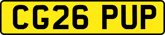 CG26PUP