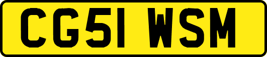 CG51WSM