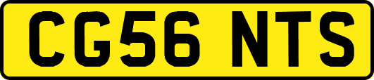 CG56NTS