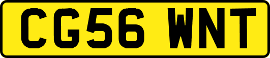 CG56WNT