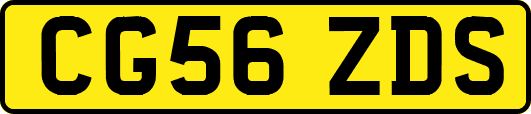 CG56ZDS