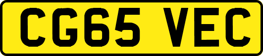 CG65VEC