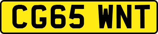 CG65WNT
