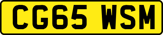 CG65WSM