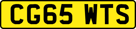 CG65WTS