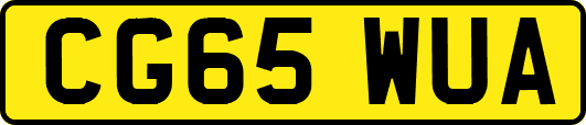 CG65WUA