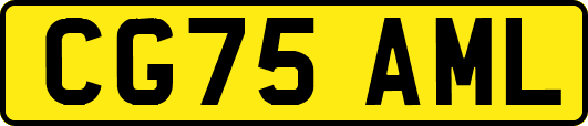 CG75AML