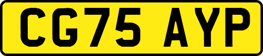 CG75AYP